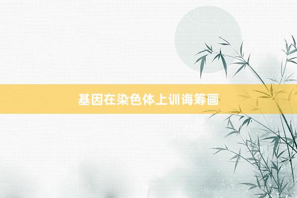 基因在染色体上训诲筹画