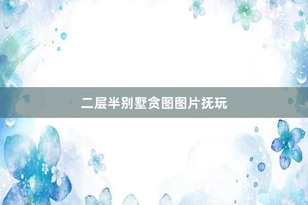 二层半别墅贪图图片抚玩